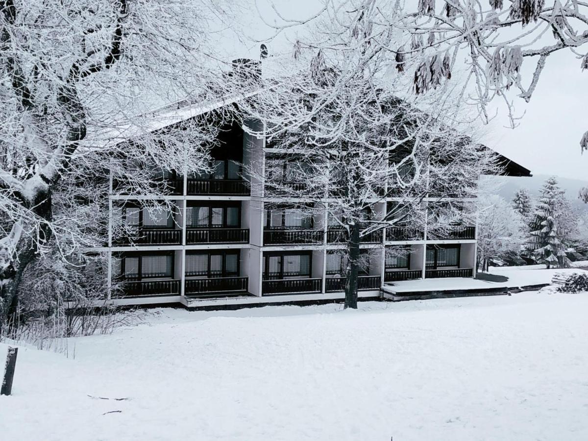 Winterwohnung Almberg Mitterfirmiansreut Luaran gambar