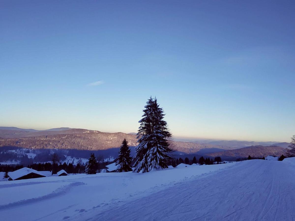 Winterwohnung Almberg Mitterfirmiansreut Luaran gambar