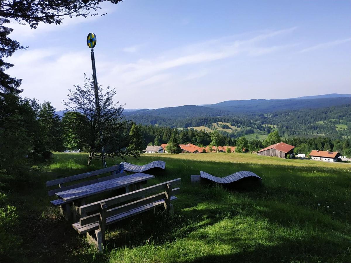 Winterwohnung Almberg Mitterfirmiansreut Luaran gambar