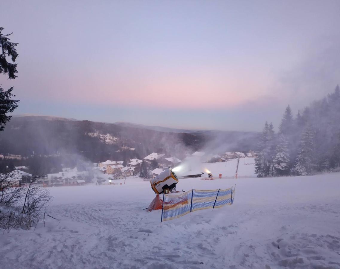 Winterwohnung Almberg Mitterfirmiansreut Luaran gambar