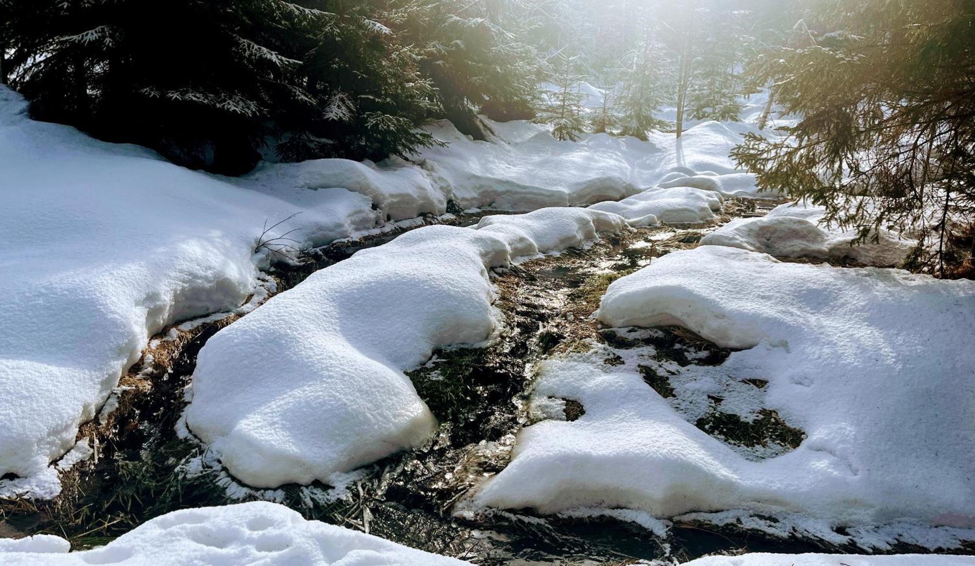 Winterwohnung Almberg Mitterfirmiansreut Luaran gambar